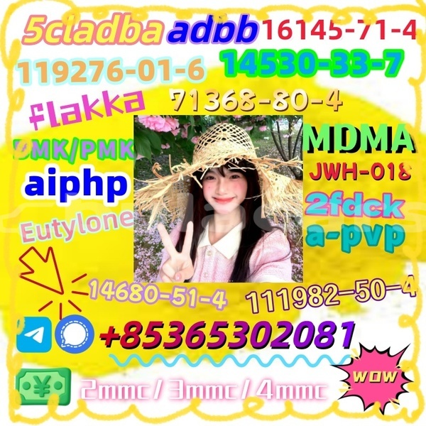 Big with watermark 1 16 