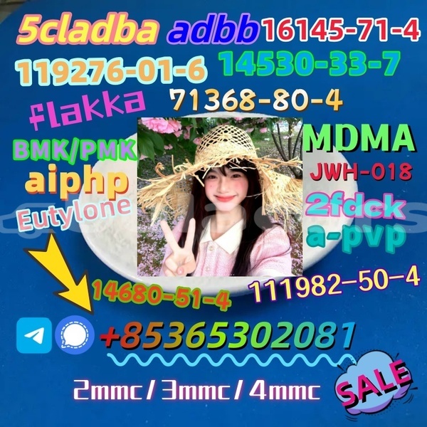 Big with watermark 1 4 