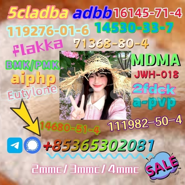 Big with watermark 1 6 