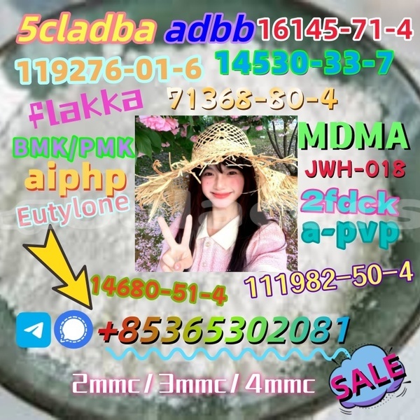 Big with watermark 1 7 