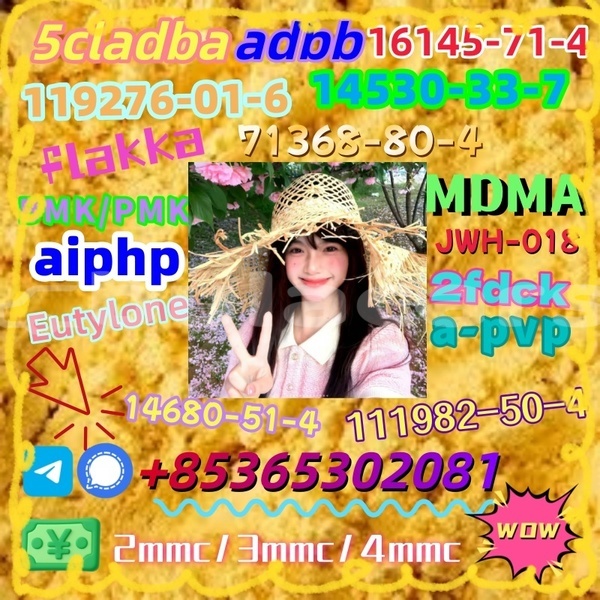 Big with watermark 1 29 