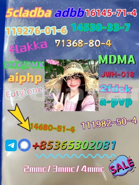 Big with watermark img 4470 20230901 094726 