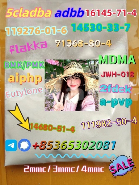 Big with watermark img 4472 20230901 094726 