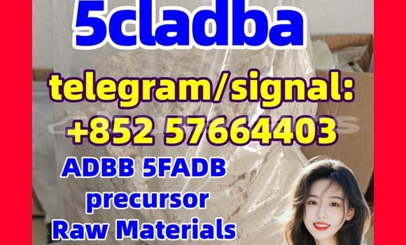 Medium with watermark 53