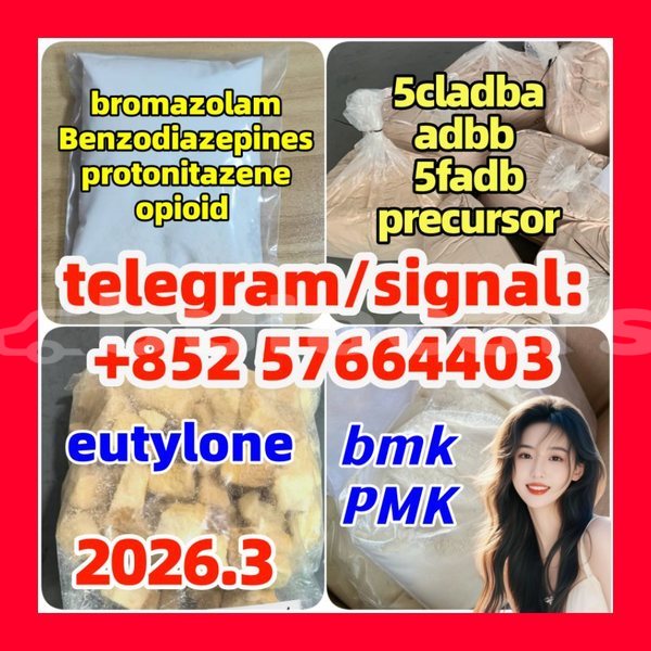 Big with watermark z3