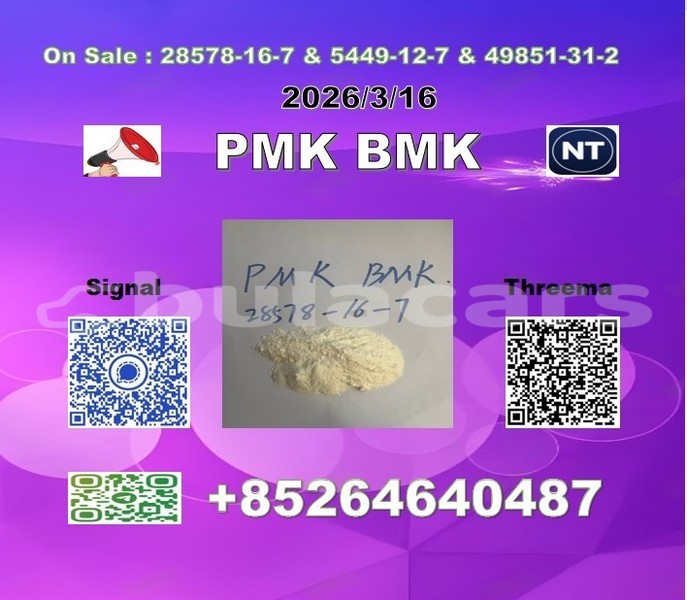 Big with watermark 2026 03 18 110152 %e5%89%af%e6%9c%ac %e5%89%af%e6%9c%ac