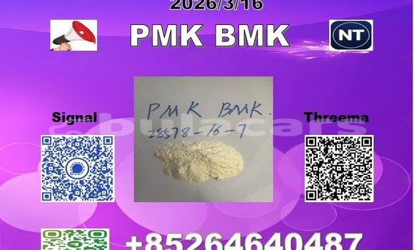 28578-16-7 PMK 
