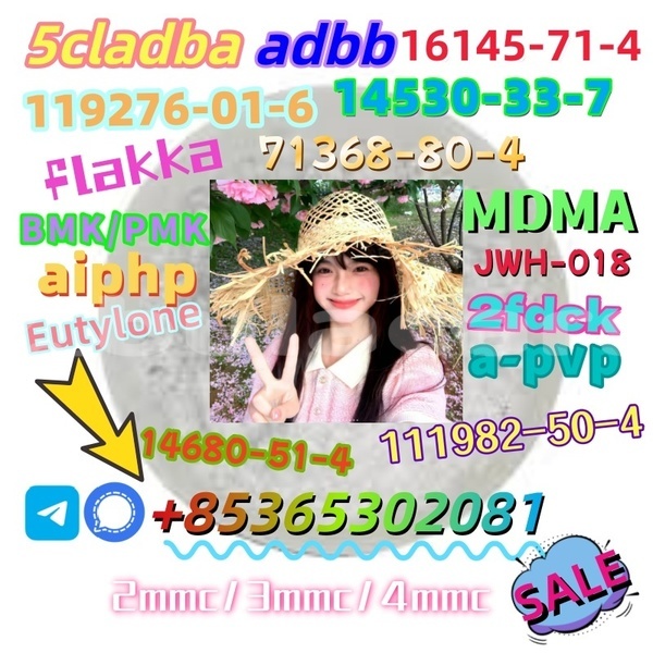 Big with watermark 1 10 