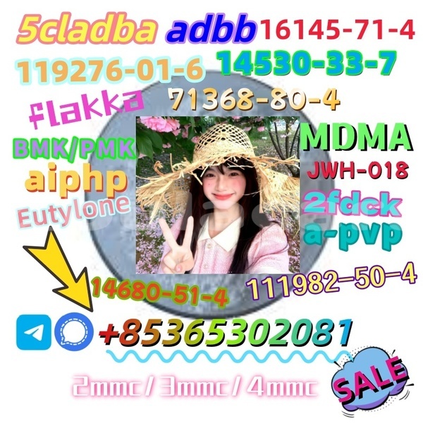 Big with watermark 1 11 