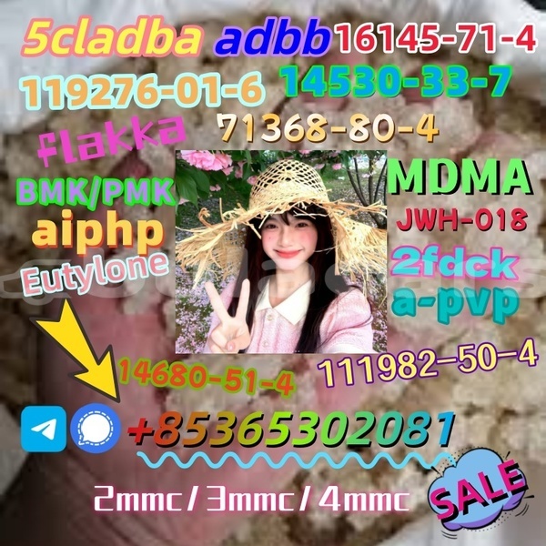 Big with watermark images 13 