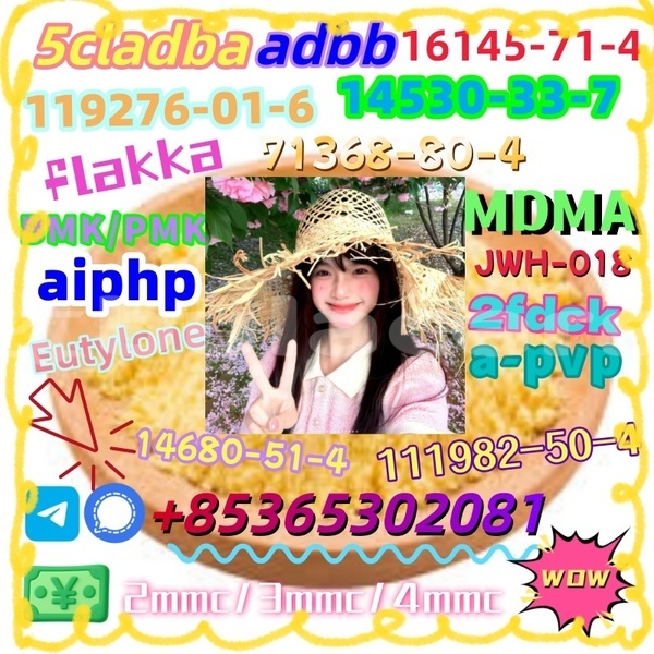 Big with watermark 1 11 