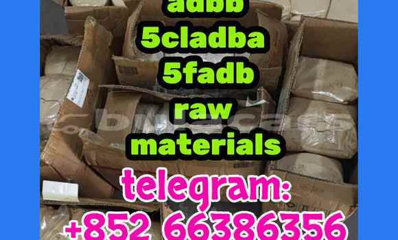  5cl adb 5cladba 等人共同认识到