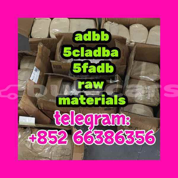 Big with watermark 7