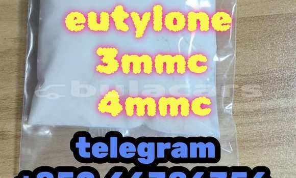 Medium with watermark 10