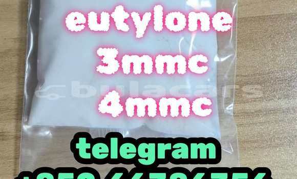 Medium with watermark 11