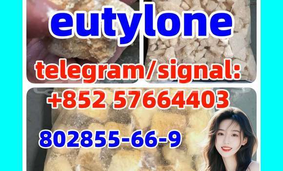 Medium with watermark e4