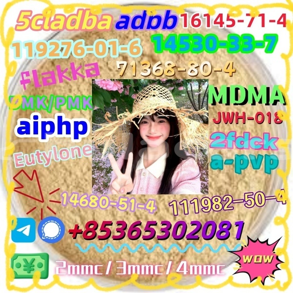 Big with watermark 1 23 