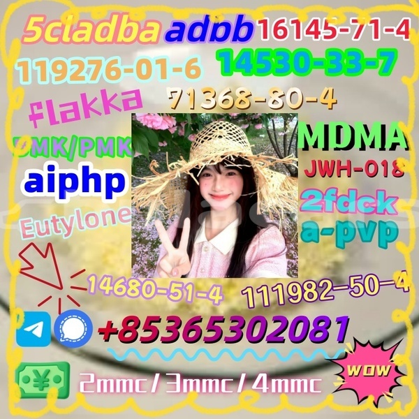 Big with watermark 1 24 