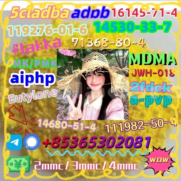 Big with watermark 1 26 