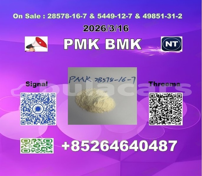 Big with watermark 2026 03 18 110207 %e5%89%af%e6%9c%ac 2