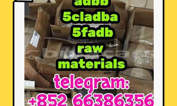 Medium with watermark 1