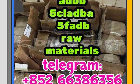  5cl adb 5cladba 的股东人数