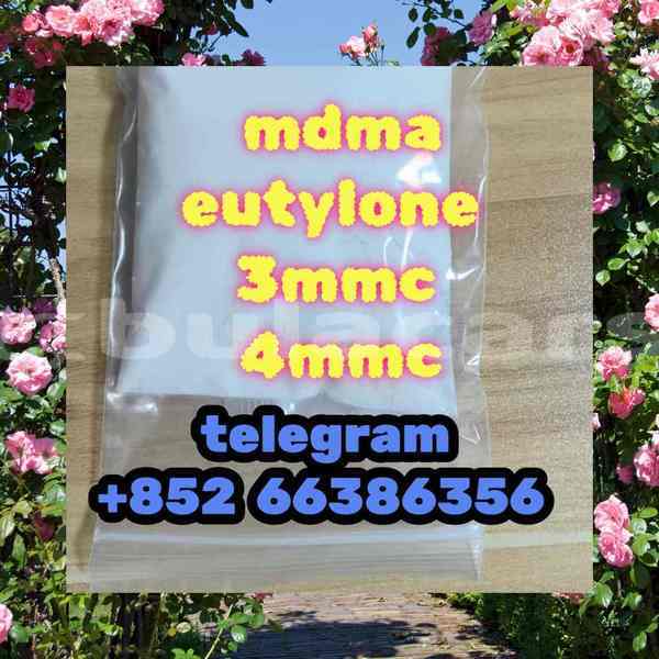 Big with watermark 10