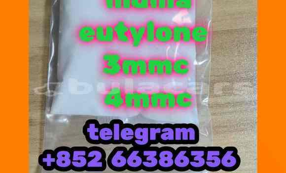 Medium with watermark 12