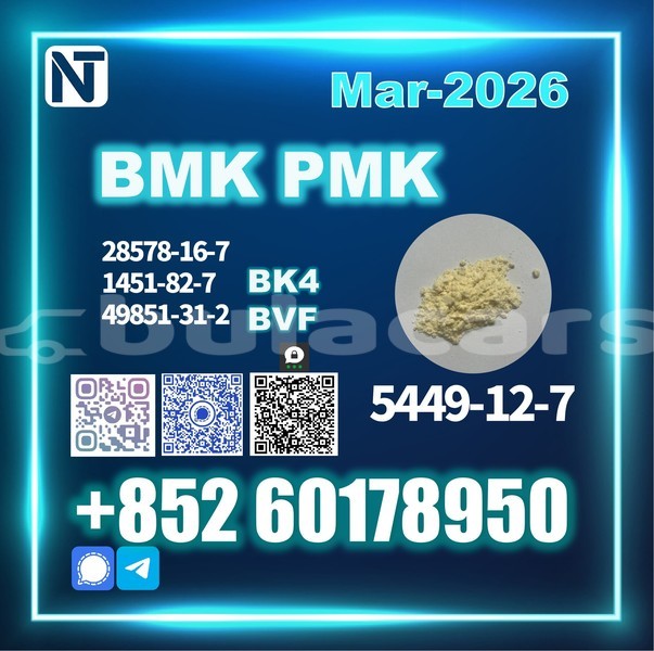 Big with watermark byd g6 eastern lomaji 12540