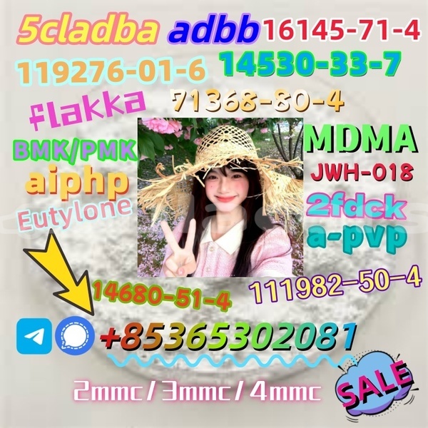 Big with watermark 1 8 