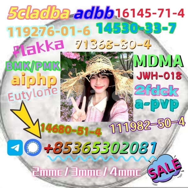 Big with watermark 1 12 