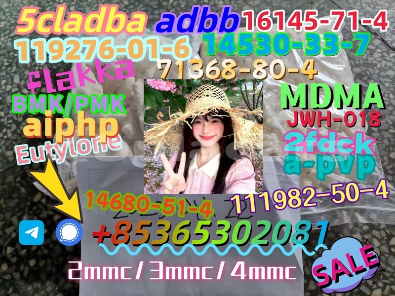 Big with watermark img 4545 20231018 085948 