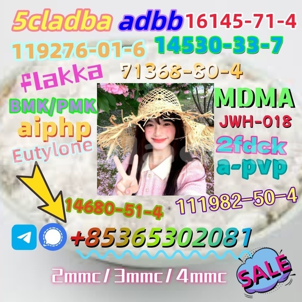 Big with watermark %e4%b8%8b%e8%bd%bd 2 