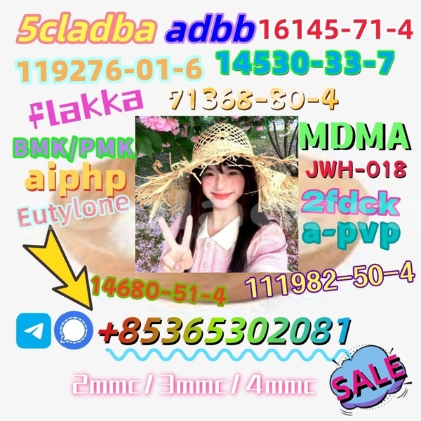 Big with watermark %e4%b8%8b%e8%bd%bd 3 