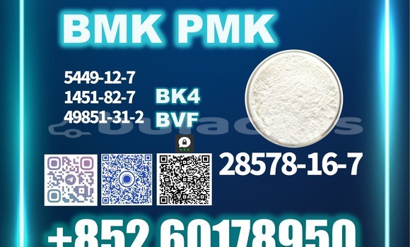 Buy Used Aurus Senat Grey Car in Deuba in Central