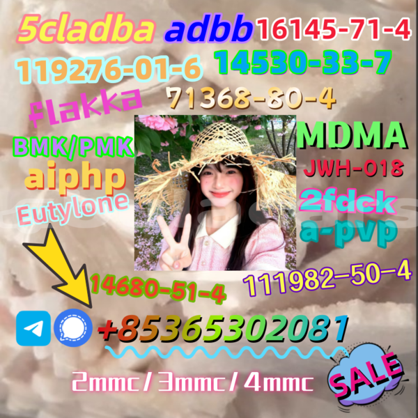 Big with watermark 424fe91c33878ac50c2f33f29f0acec1 1