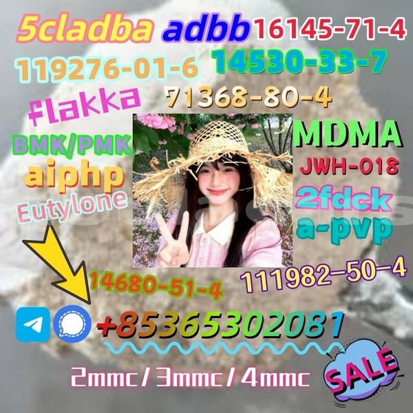 Big with watermark images 1 