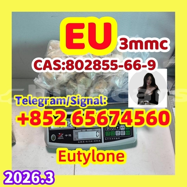 Big with watermark photo 2026 03 04 10 21 13 %e5%89%af%e6%9c%ac