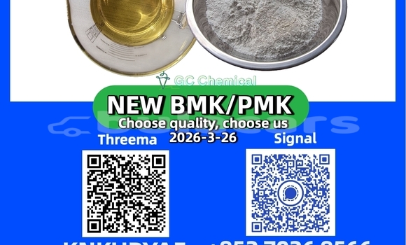 Buy New Audi 50 Black Car in Korokade in Northern