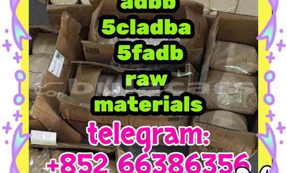 Medium with watermark 3