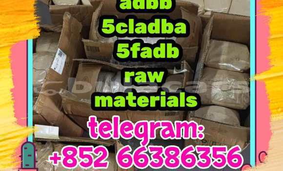 Medium with watermark 4