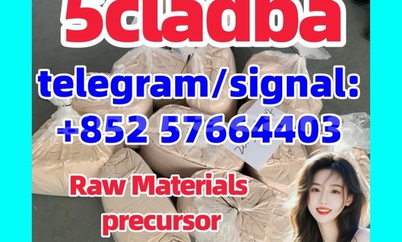 Medium with watermark 554