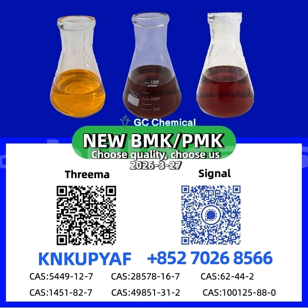 Big with watermark acura csx central korovou 12665