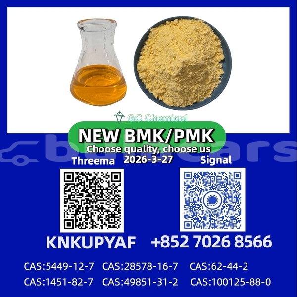 Big with watermark ac ace western komave 12669