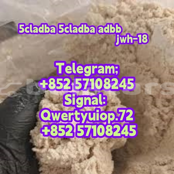 Big with watermark alpina b4 northern korokade 12683