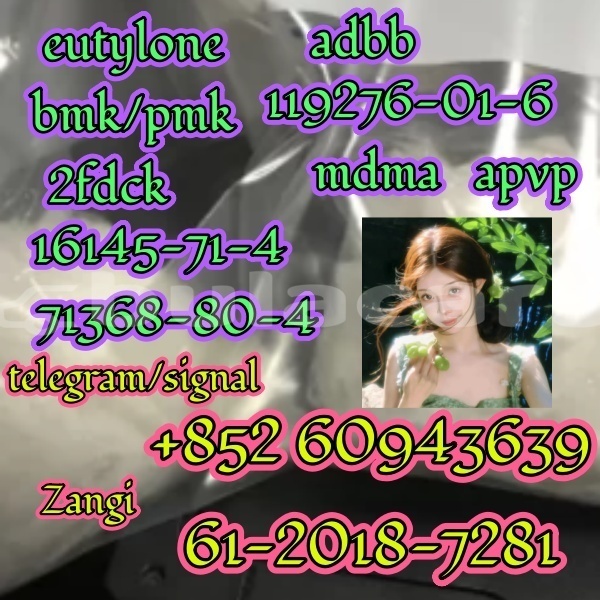 Big with watermark adler trumpf junior western komave 12694