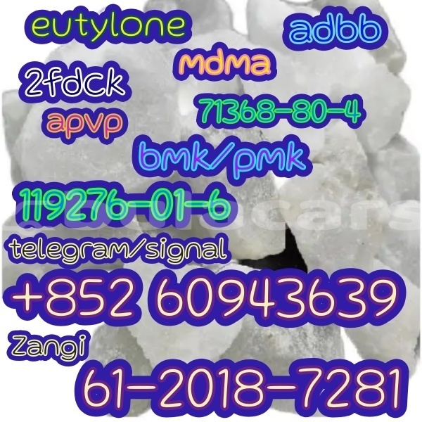 Big with watermark adler trumpf junior eastern lamiti 12697