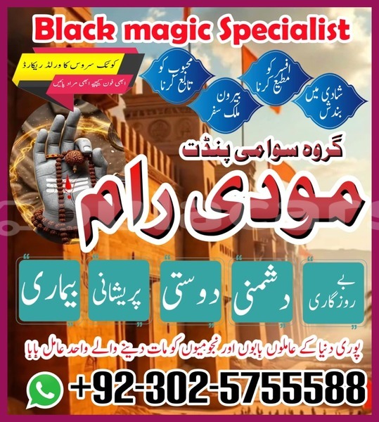 Big with watermark amc hornet eastern lamiti 12701