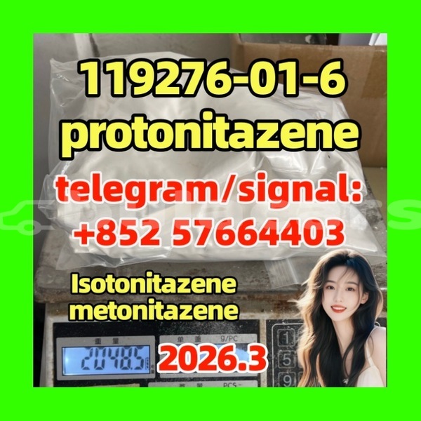 Big with watermark pro1