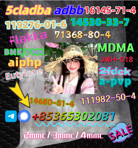 Big with watermark apvp